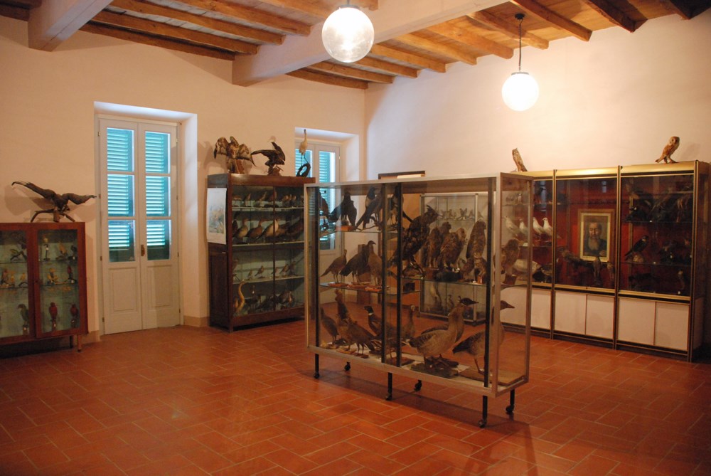 Museo Ornitologico Fiamenghi nella frazione di Acqualunga